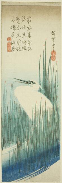 White heron and rushes, 1830s. Creator: Ando Hiroshige.