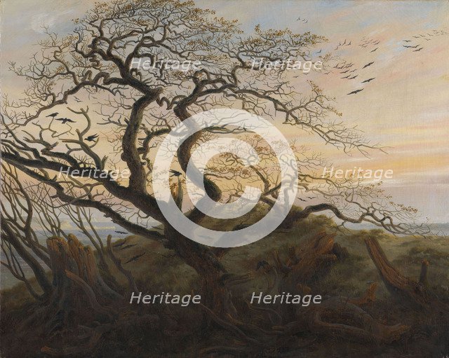 The Tree of Crows. Artist: Friedrich, Caspar David (1774-1840)