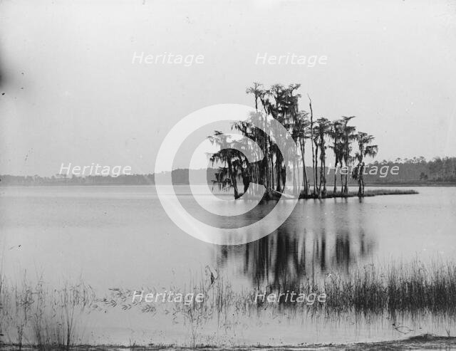 Lake Louise near Seville, Fla., between 1880 and 1897. Creator: William H. Jackson.