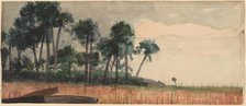 Palm Trees, Red, 1890. Creator: Winslow Homer.