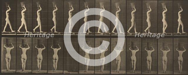 Plate Number 34. Walking and carrying a 15-lb. basket on head, hands raised, 1887. Creator: Eadweard J Muybridge.