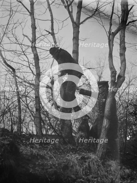 Policeman, police dog treeing tramp, New York City, 1912. Creator: Bain News Service.