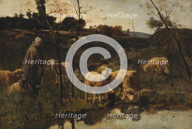 Landscape with Sheep, Picardy, late 19th century. Creator: Harry Thompson.