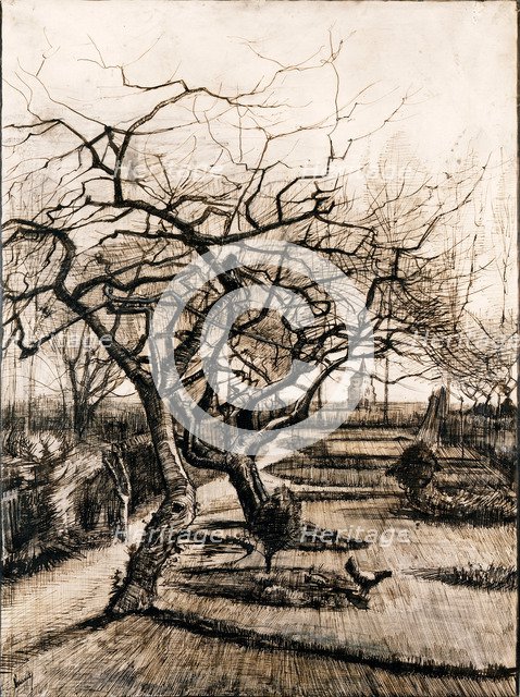 The Parsonage Garden at Nuenen in Winter. Artist: Gogh, Vincent, van (1853-1890)