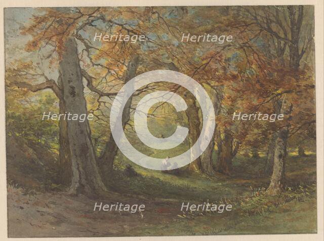 Forest view near Oosterbeek, 1834-1906. Creator: Maria Vos.