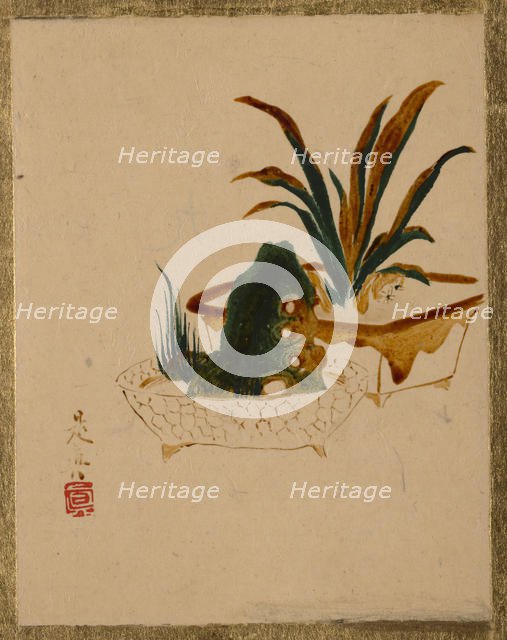 Flowers in Jardinieres, . Creator: Shibata Zeshin.