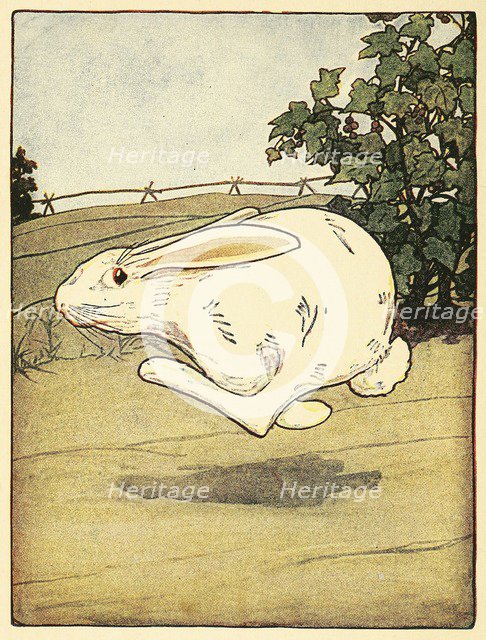 Peter never stopped running, from The Tale of Peter Rabbit, pub. 1916 (colour lithograph), 1916. Creator: American School (20th Century).