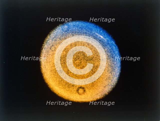 Clouds in the upper atmosphere of Uranus, from Voyager 2, c1986. Creator: NASA.