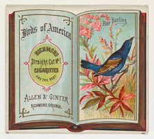 Blue Bunting, from the Birds of America series (N37) for Allen & Ginter Cigarettes, 1888. Creator: Allen & Ginter.