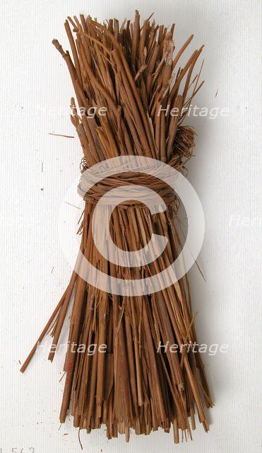 Grass, Coptic, 580-640. Creator: Unknown.