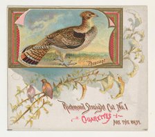 Pheasant, from the Game Birds series (N40) for Allen & Ginter Cigarettes, 1888-90. Creator: Allen & Ginter.