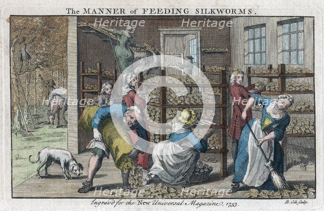'The Manner of Feeding Silkworms', 1753. Artist: Benjamin Cole
