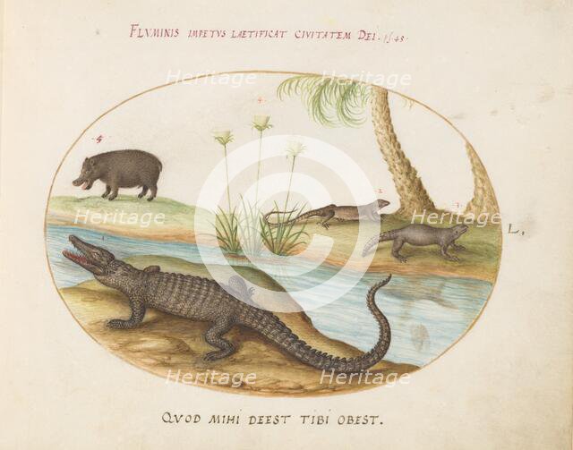 Animalia Qvadrvpedia et Reptilia (Terra): Plate L, c. 1575/1580. Creator: Joris Hoefnagel.