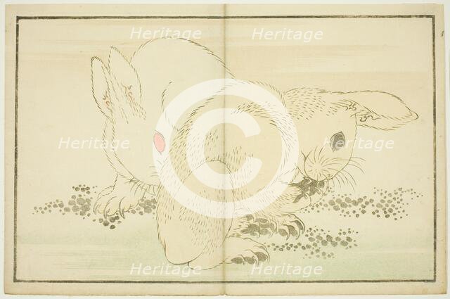 Two Rabbits, from The Picture Book of Realistic Paintings of Hokusai (Hokusai..., Japan, c1814. Creator: Hokusai.