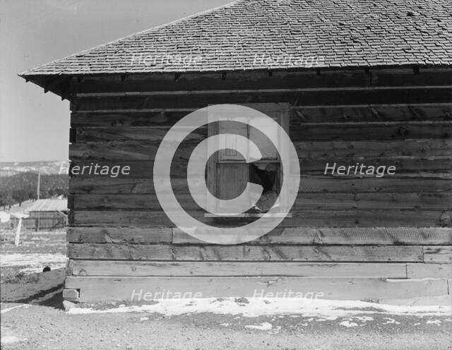 Detail of occupied house, Widtsoe, Utah, 1936. Creator: Dorothea Lange.