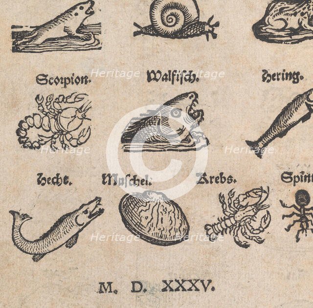 Modelbuch aller Art Nehens vn Stickens (Page 14r), 1535. Creator: Christian Egenolff.