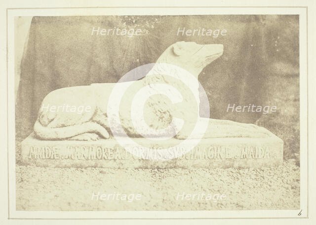 Effigy of Sir W. Scott's favourite dog Maida, by the side of the hall door at Abbotsford, 1844. Creator: William Henry Fox Talbot.