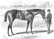 Apology, the Winner of the Gold Cup at Ascot, 1876. Creator: John Sturgess.