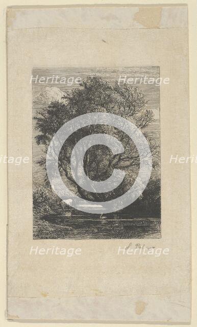 The Willow, 1850. Creator: Samuel Palmer.