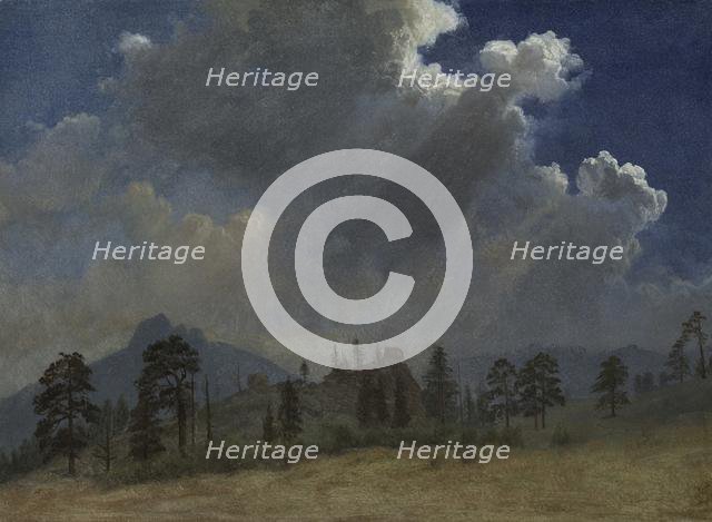 Fir Trees and Storm Clouds, c. 1870. Creator: Albert Bierstadt (American, 1830-1902).