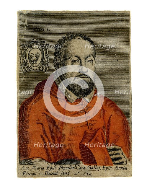 A cardinal, 16th century. Artist: Unknown