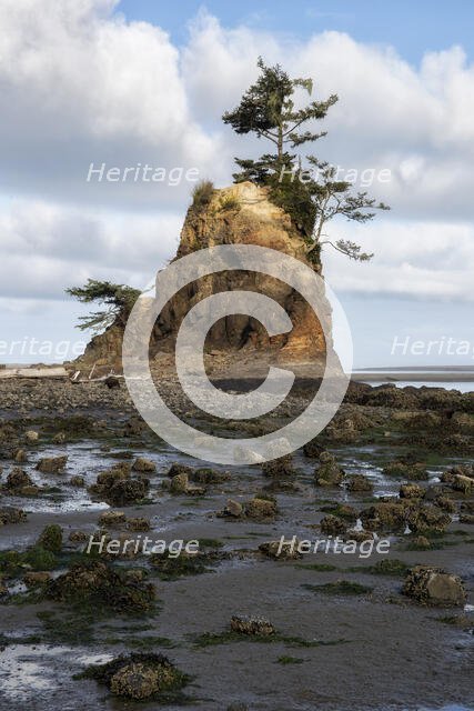 Three Brothers. Creator: Joshua Johnston.