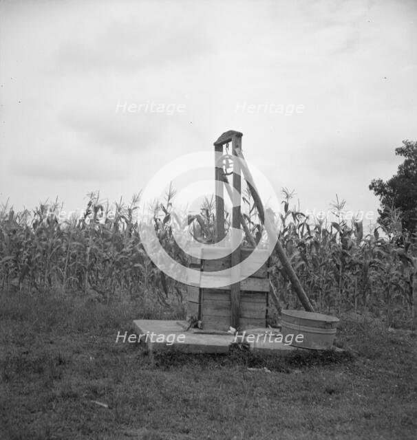 Negro sharecropper tobacco farm, Person County, North Carolina, 1939. Creator: Dorothea Lange.
