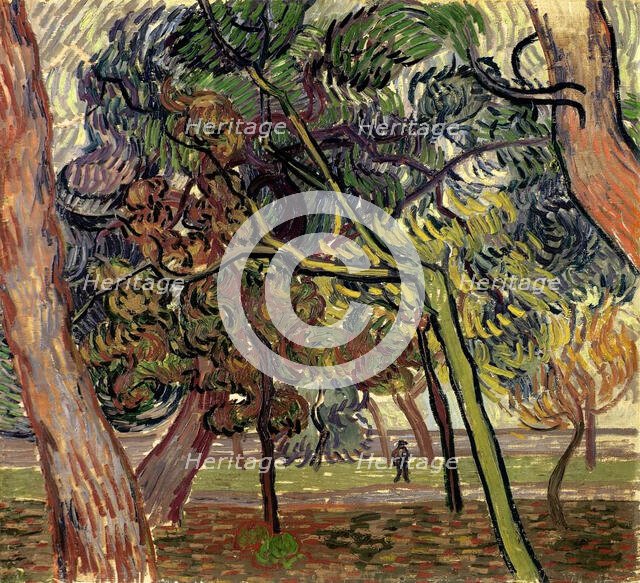 Pine trees in the garden of the asylum, 1889. Creator: Gogh, Vincent, van (1853-1890).