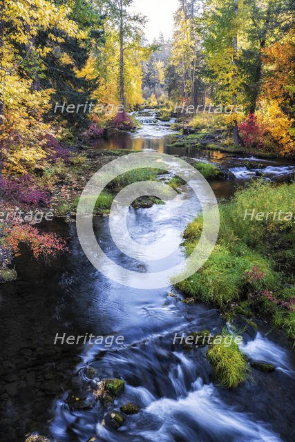 Autumn Colors. Creator: Joshua Johnston.