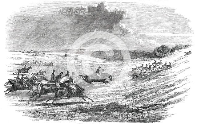 Chase of a Jackal, in the New Forest, 1850. Creator: Unknown.