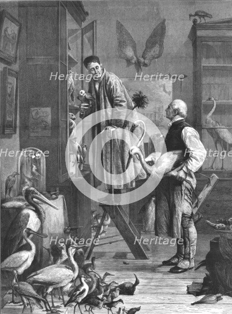 'The Ornithologist', mid-late 19th century. Artist: Unknown.
