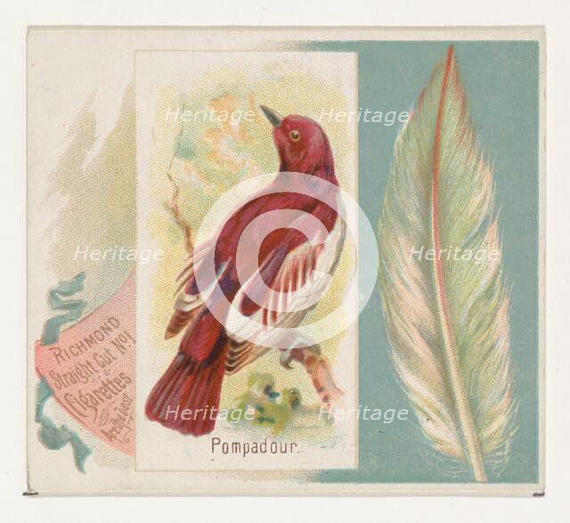 Pompadour, from the Song Birds of the World series (N42) for Allen & Ginter Cigarettes, 1890. Creator: Allen & Ginter.