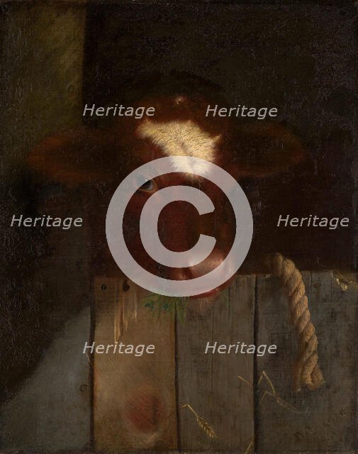 The Family Cow (Calf's Head), 1869. Creator: William Merritt Chase.