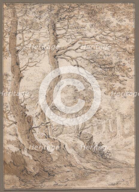 A Forest Interior, with a Seated Figure, n.d. Creator: Herman Saftleven the Younger.