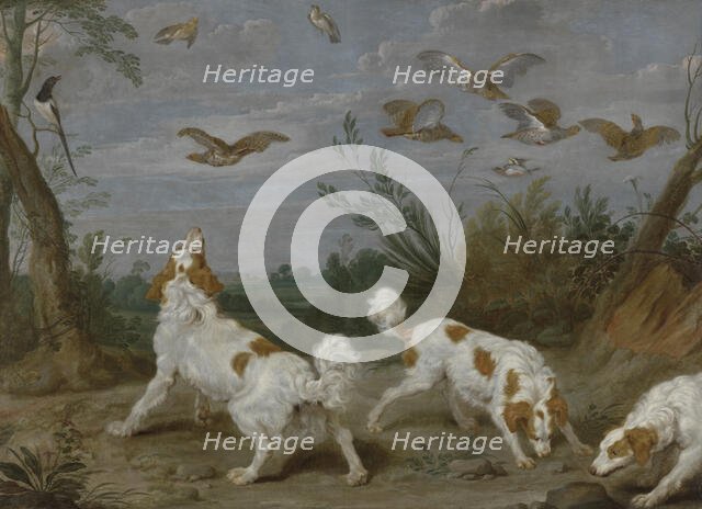 Partridge Hunt, c1610-1650. Creator: Jan Wildens.