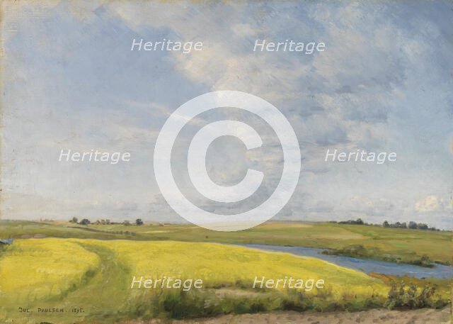 Mustard field, 1895. Creator: Julius Paulsen.
