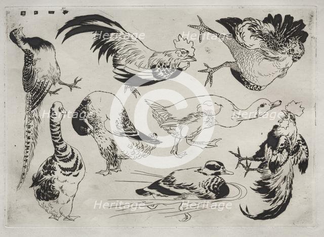 Dinner Service (Rousseau service): Roosters, ducks, etc. (no. 13), 1866. Creator: Félix Bracquemond (French, 1833-1914).