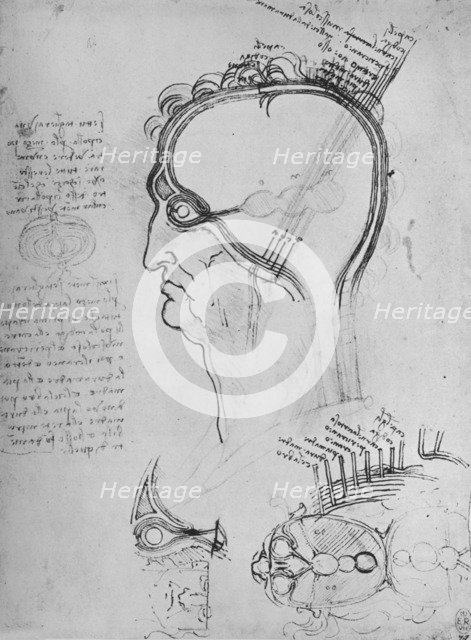 'Sections of a Man's Head Showing the Anatomy of the Eye, Etc.', c1480 (1945). Artist: Leonardo da Vinci.