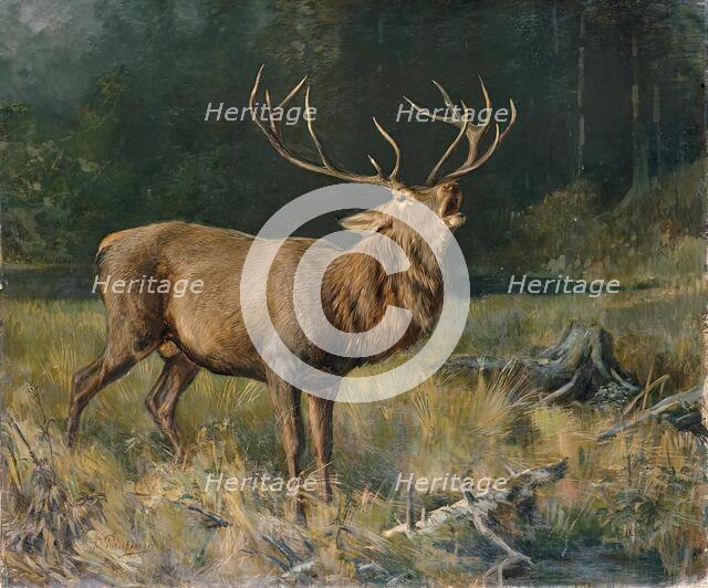 Rutting deer, 2nd half of the 19th century. Creator: Franz Xaver von Pausinger.