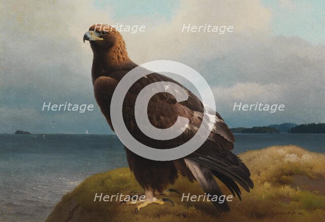 Golden Eagle, 1884. Creator: Ferdinand von Wright.