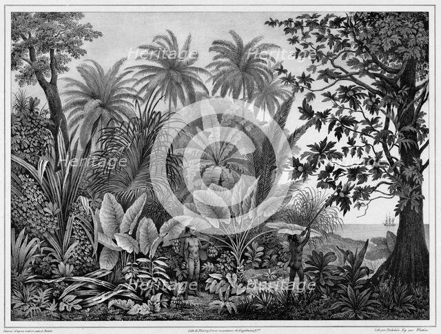 View of Lukunor Island, Lower Caroline Islands, 19th century. Creators: Alexander Postels, Godefroy Engelmann, Emile-Charles Wattier.