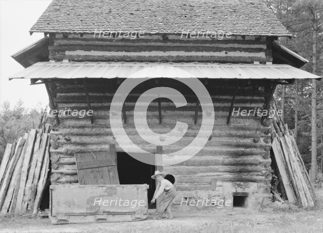 Tobacco barn ready for "putting in", Person County, North Carolina, 1939. Creator: Dorothea Lange.