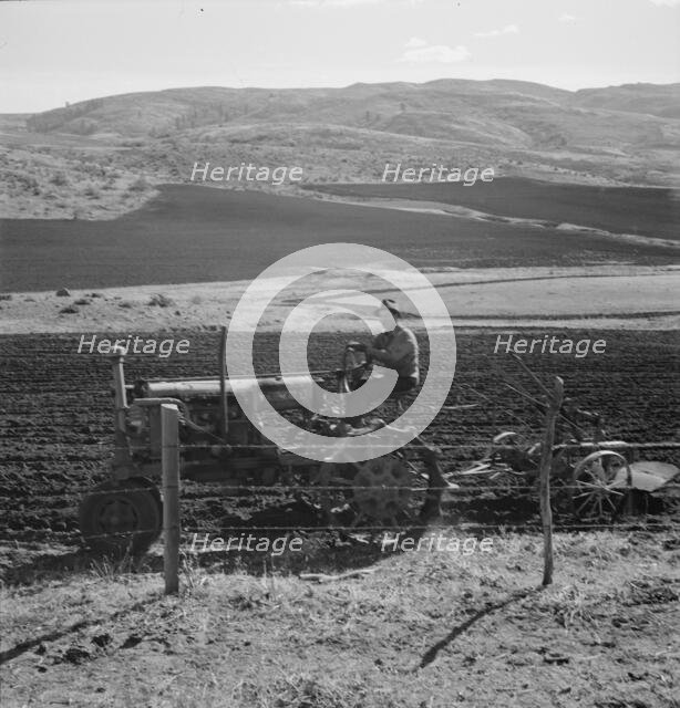 Possibly: Young Idaho farmer plowing in the fall of the year..., Gem County, Idaho, 1939. Creator: Dorothea Lange.