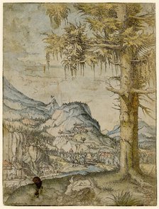 Large Spruce, ca 1517-1520. Creator: Altdorfer, Albrecht (c. 1480-1538).