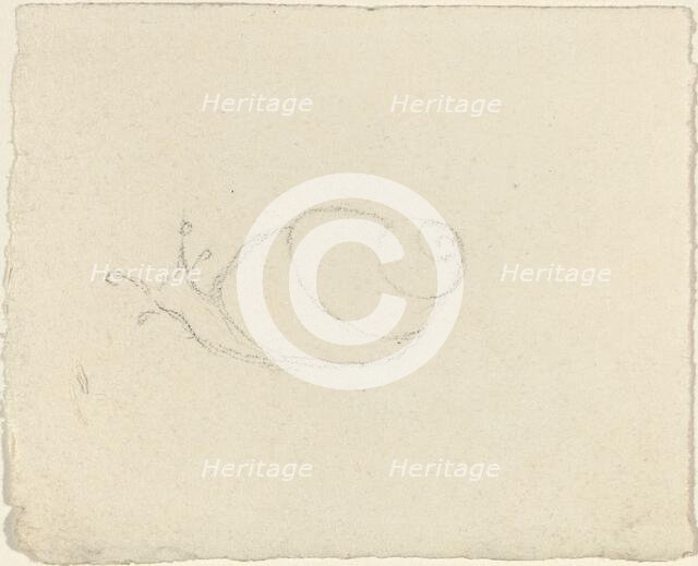 Snails [recto and verso]. Creator: John Flaxman.