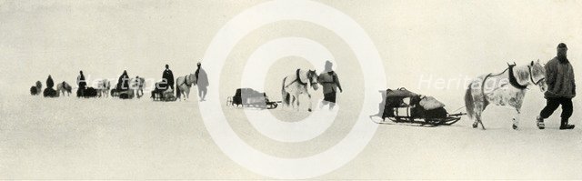 'Ponies on the March', 1911, (1913). Artist: Frank Debenham.