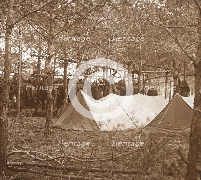 Horses' billet, Suippes, northern France, c1914-c1918. Artist: Unknown.