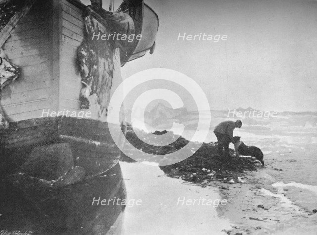 'The Stern of the Fram. Johansen and 'Sultan' ,16 June, 1894', (1897). Artist: Unknown.