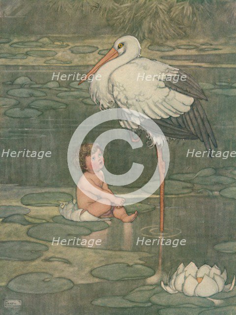 'The Bud Opened Into A Full-Blown Flower', c1930. Artist: W Heath Robinson.