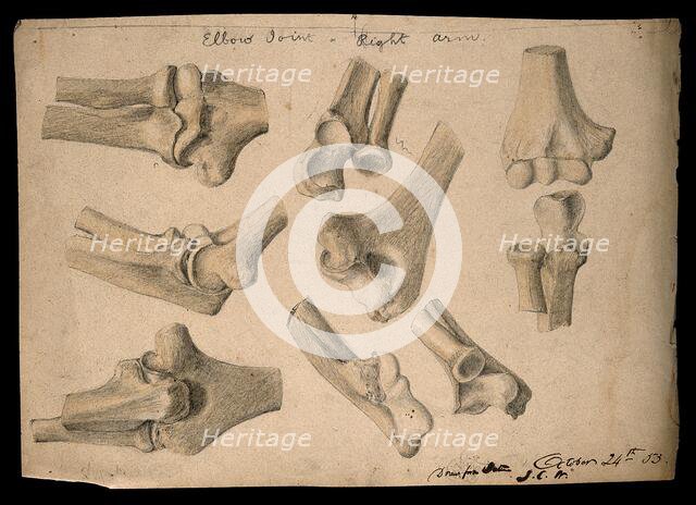 Bones of the elbow joint: eight figures, 1853/10/24. Creator: J.C. Whishaw.